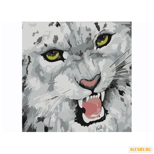 Color Kit Картина по номерам