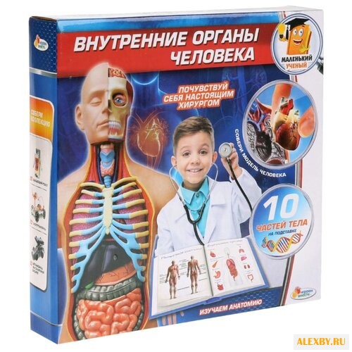 Набор Играем вместе Внутренние