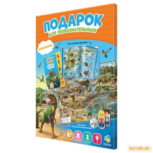 Обучающий набор ГеоДом Подарок