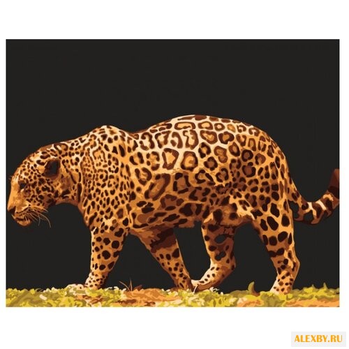 Белоснежка Картина по номерам