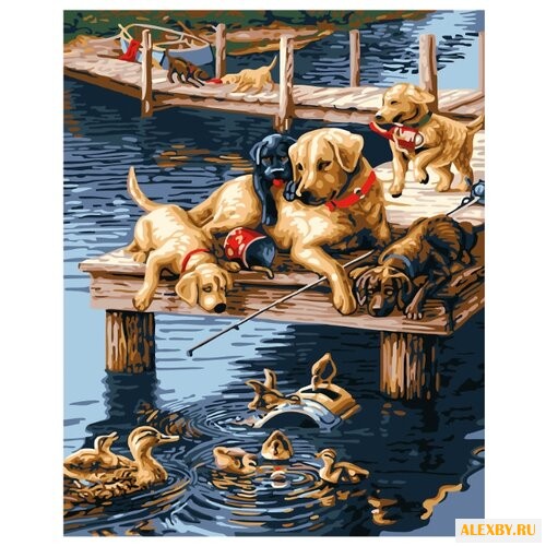 Рыжий кот Картина по номерам