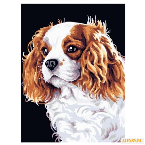 Color Kit Картина по номерам