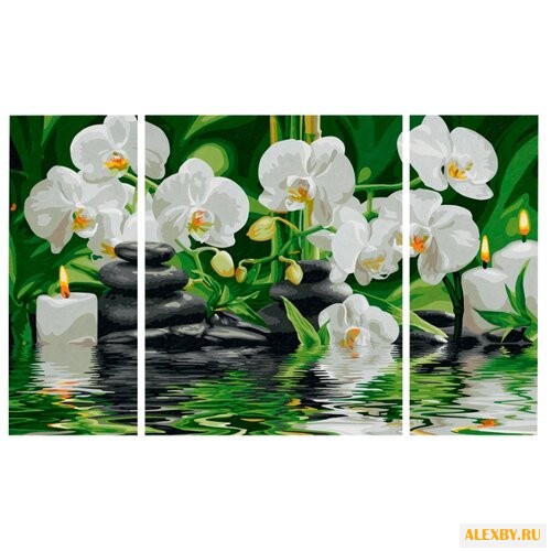 Schipper Картина по номерам