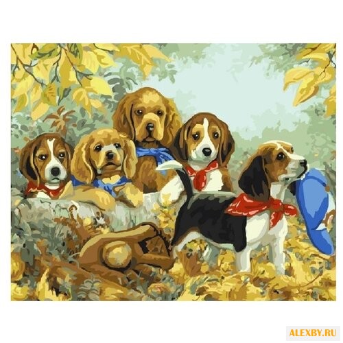 Color Kit Картина по номерам