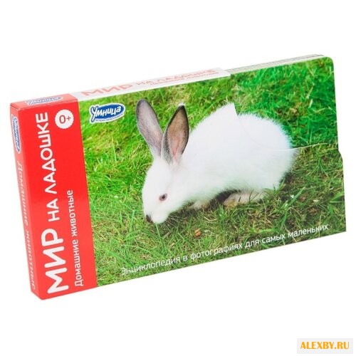 Набор карточек Умница Мир на