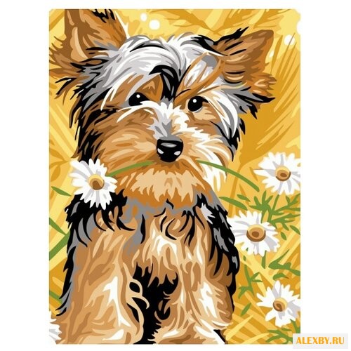 Color Kit Картина по номерам