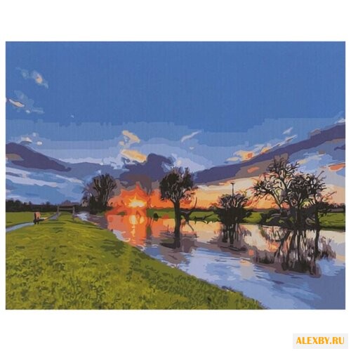 Paintboy Картина по номерам