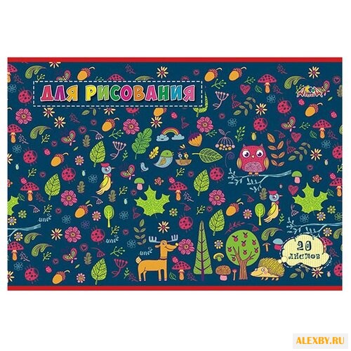 Альбом для рисования Апплика